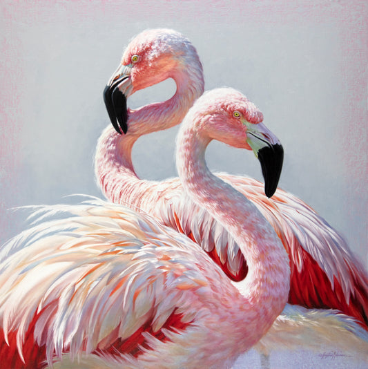 Krystii Melaine - A Meeting of Minds - Greater Flamingos