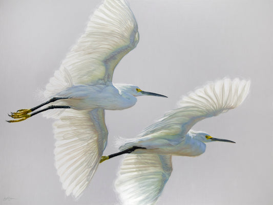 Krystii Melaine - Flying Home - Little Egrets