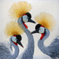 Krystii Melaine - Unohemu - Grey Crowned Cranes, Zulu