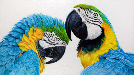 Krystii Melaine - Magnanimous - Blue and Gold Macaws